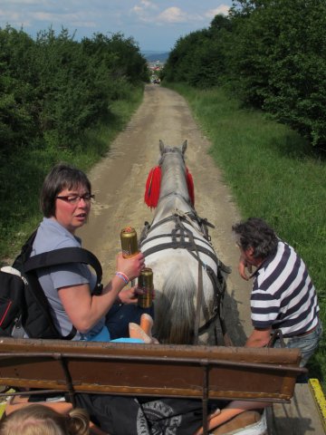 Heltauer Treffen 2013